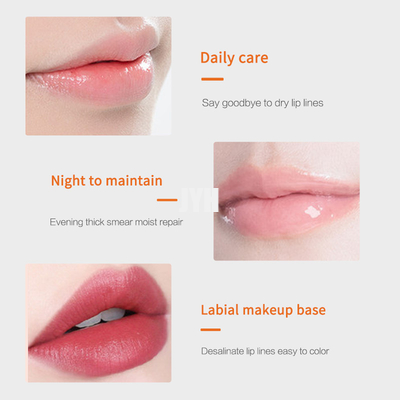 ลิปบาล์มให้ความชุ่มชื้นตามธรรมชาติซ่อมแซม Exfoliating Organic Plumper Vegan Lip Balm Daily Care
