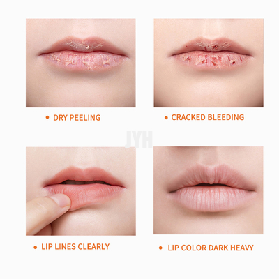 ลิปบาล์มให้ความชุ่มชื้นตามธรรมชาติซ่อมแซม Exfoliating Organic Plumper Vegan Lip Balm Daily Care